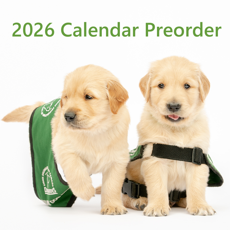 The Green Capes Lions Club