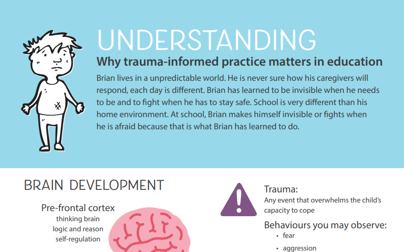 Trauma-informed practice